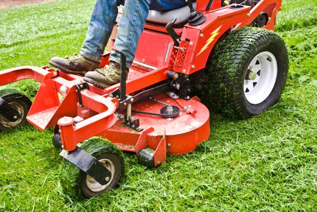 Lawn Maintenance Specialist Service in Bay area California