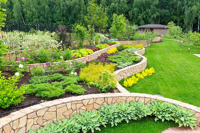 Local Landscape Contractors Bay area California