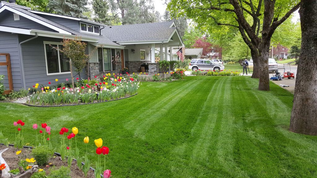 Excellent Lawn Care Contractor in Bay area California