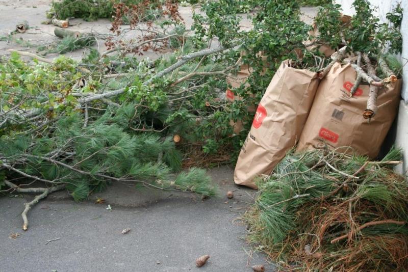 Excellent Lawn Debris Removal Service in Bay area California