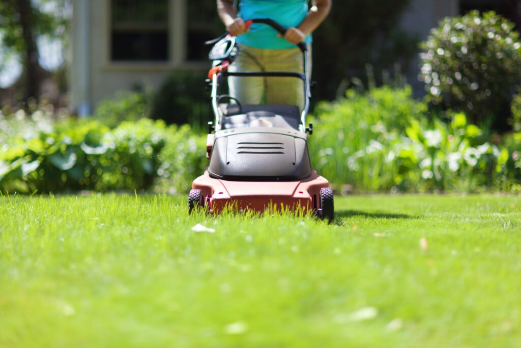 Leading Lawn Mowing Services and Cost Bay area California