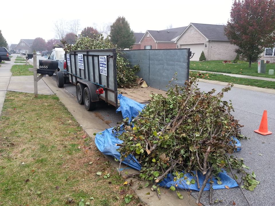 Affordable Lawn Trash Removal Service Lawn Trash Pick Up Cost in Bay area California