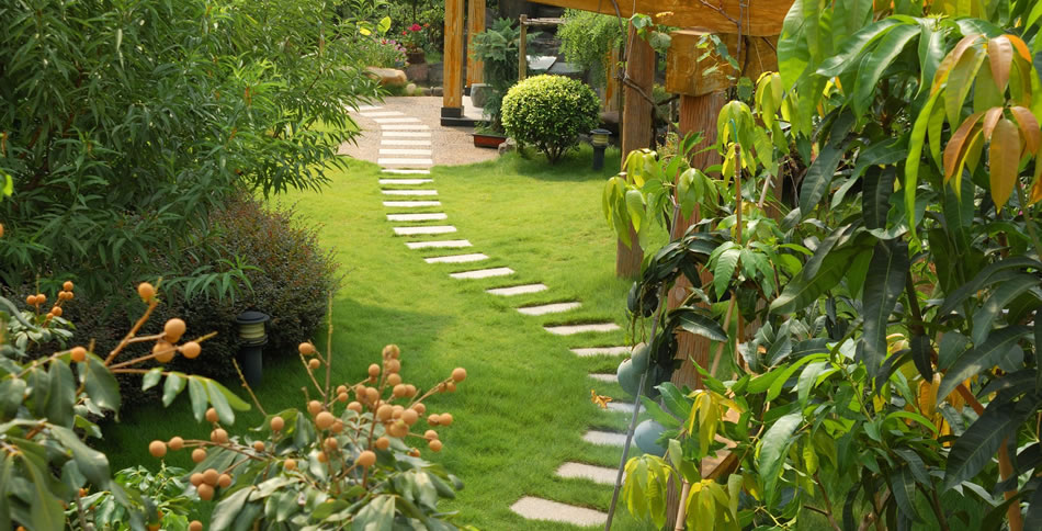 Leading Gardener Services and Cost Bay area California