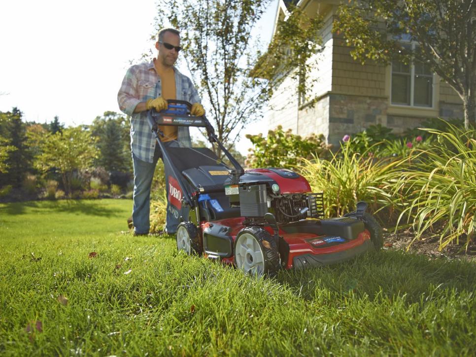 Best Lawn Care Service and Cost in Bay area California