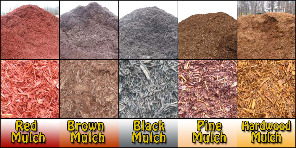 Affordable Mulch Rock Installation Service and Cost in Bay area California