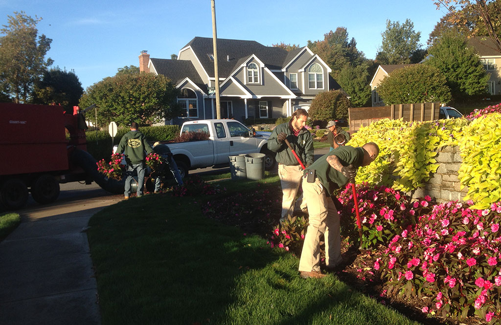 Best Residential Landscaping Services and Cost in Bay area California