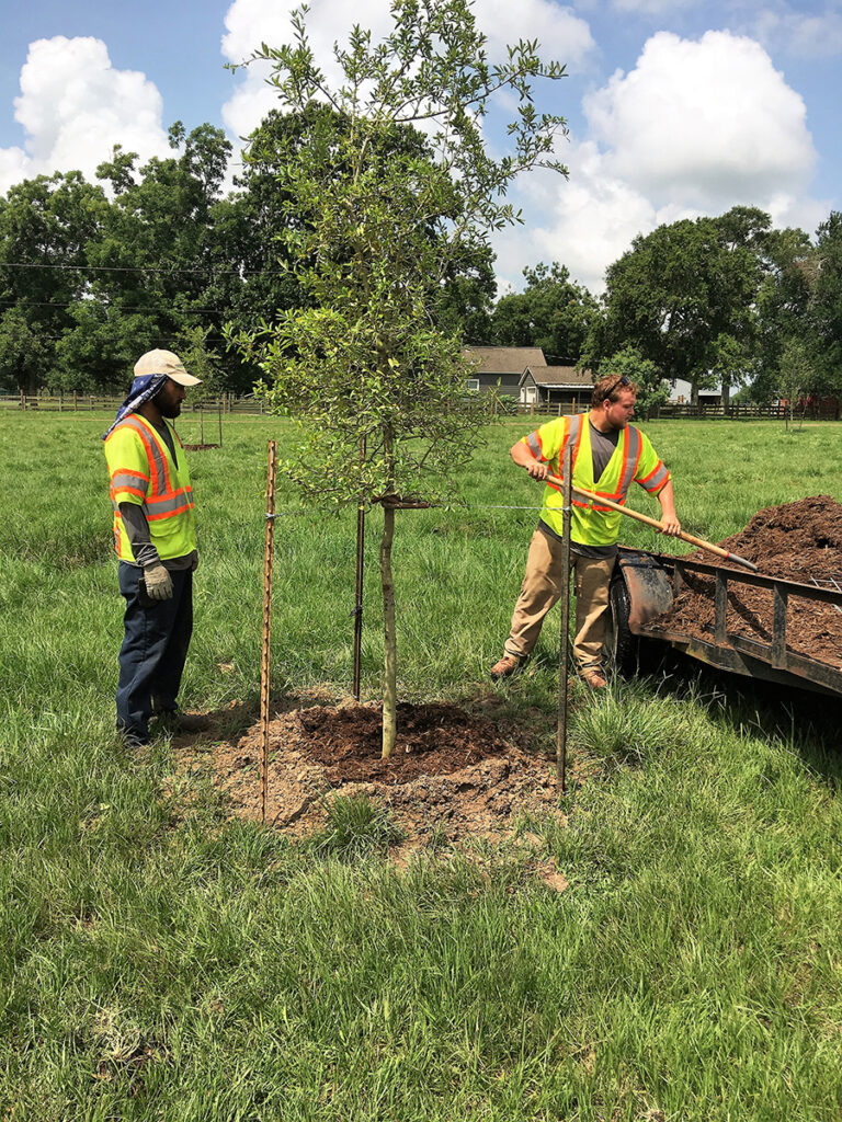 Best Residential Landscaping and Construction Services and Cost in Bay area California