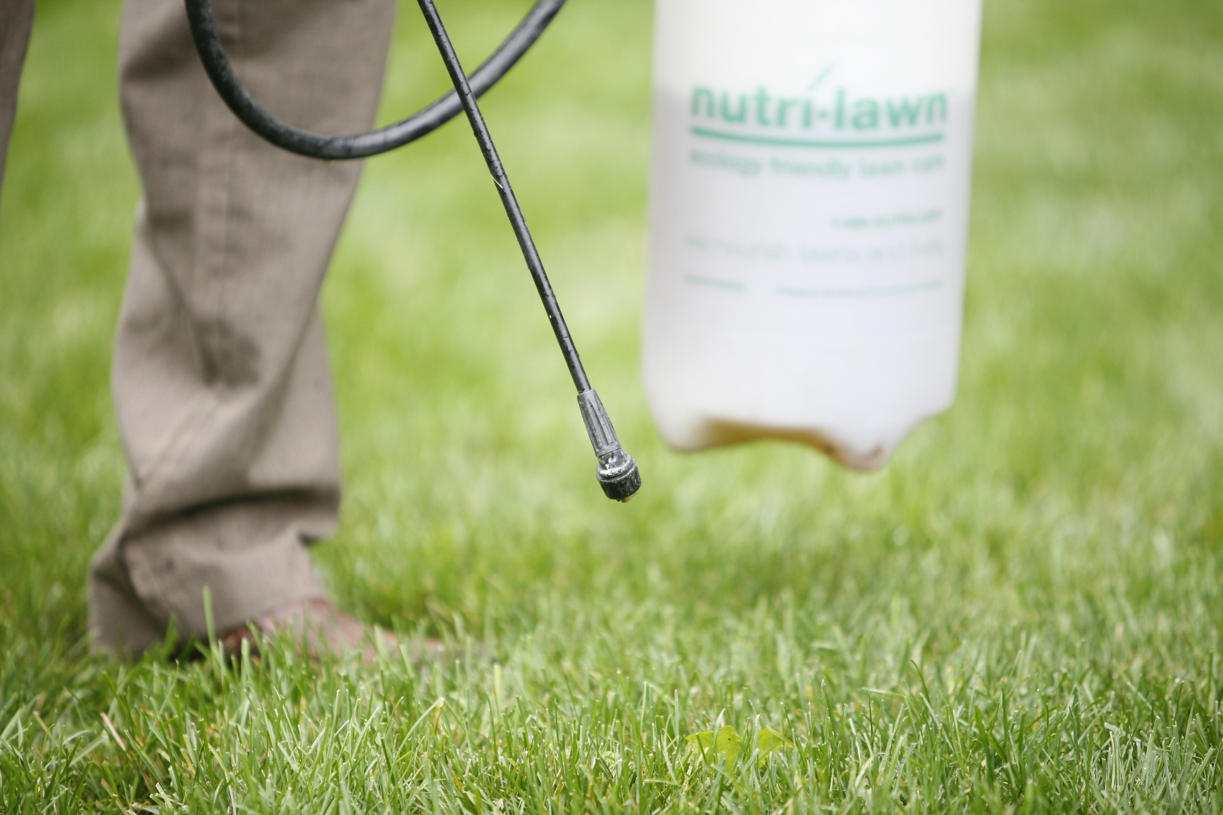 Effective Weed Control Services in Bay area California